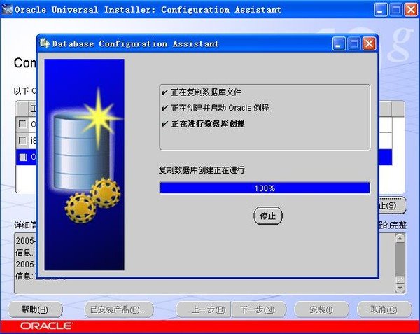 Oracle 10g For Windows
