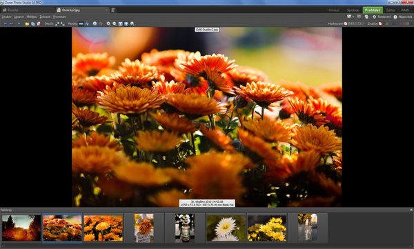 数字图像处理软件(Zoner Photo Studio Pro)