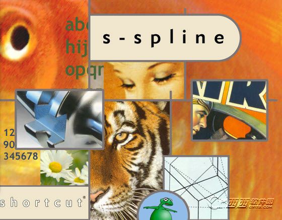 S-Spline 汉化版