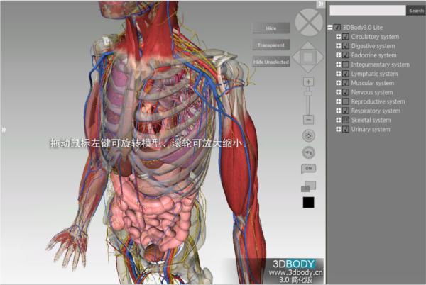 三维人体解剖软件(3dbody)