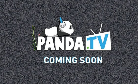 熊猫TV主播认证申请表格
