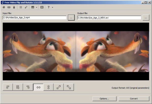 DVDVideoSoft Free Video Flip and Rotate视频旋转器