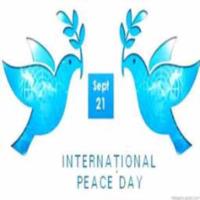 国际和平日活动策划