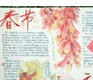2016年猴年春节主题手抄报打印版(中英文版)