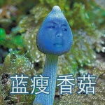 蓝瘦香菇(难受,想哭)表情包