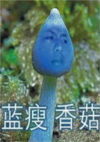 蓝瘦香菇高清表情包绿色版