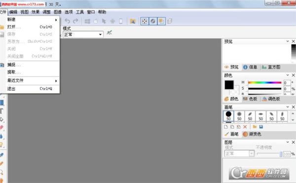 IcoFX图标编辑软件中文便携特别版