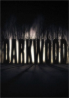 阴暗森林Darkwood正式版