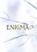ENIGMA: The Game官方硬盘版