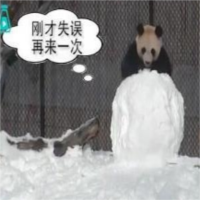 熊猫滚滚玩雪球表情包高清无水印版