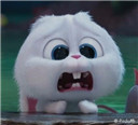可爱兔子QQ表情包