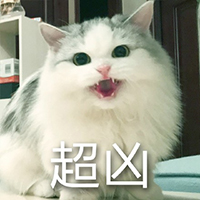 猫猫超凶表情包【可爱萌版】