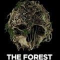 森林TheForestv0.37修改器+9MrAntiFun最新版