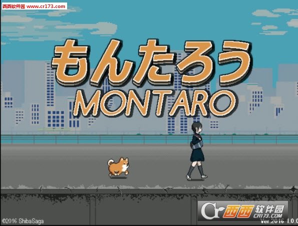 柴犬梦太郎Montaro the Shiba Inu