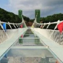 张家界大峡谷玻璃桥组图合集高清无水印版