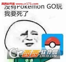 没有pokemon go玩表情包