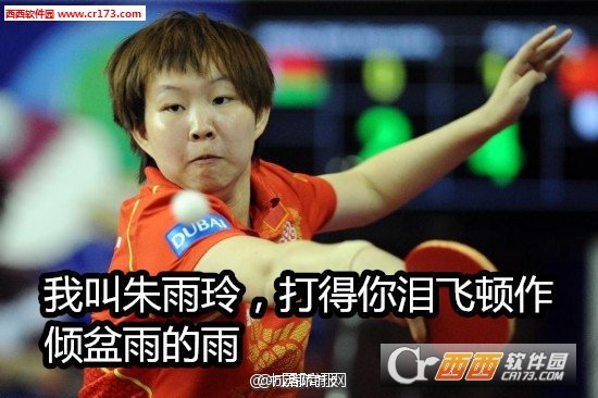 中国乒乓球运动员表情包