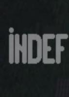 INDEF通行证免安装破解版