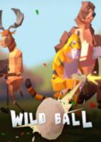 狂野绿茵Wild Ball中文硬盘版