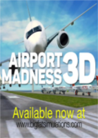 疯狂机场3D