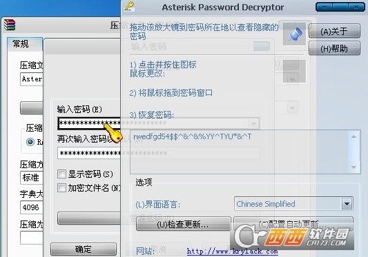 Asterisk Password Decryptor中文版