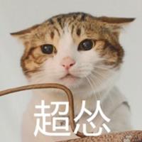 猫咪超怂表情包完整版【高清版】