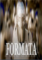 Formata简体中文硬盘版