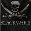 Black Wake修改器最新版