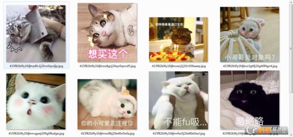 萌猫表情包带字图片【整合版】