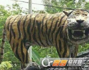 老虎表情包
