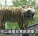印尼老虎雕像表情包【完整版】
