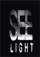见光See Light简体中文硬盘版