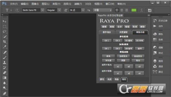 Raya Pro 2.0汉化版