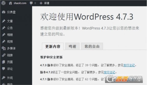 WordPress5.2.4中文版
