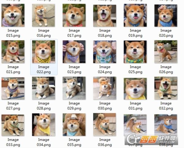 日本柴犬Ryuji图片表情包无水印版