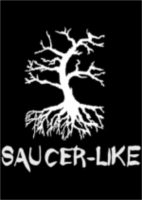 Saucer-Like简体中文硬盘版