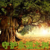 守护永恒之树9.0.5【隐藏英雄密码】