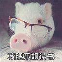 小猪猪减肥表情包无水印版【最新完整版】
