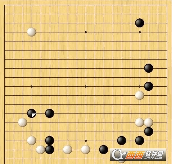 AlphaGo自战对局全50局棋局