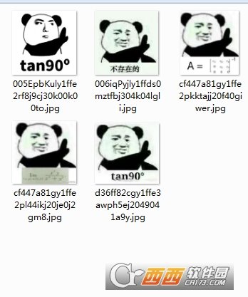 熊猫不存在tan90全套表情