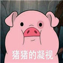 猪猪的凝视摇摇猪表情包无水印