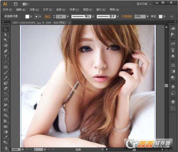 Adobe Illustrator CS6官方简体中文版