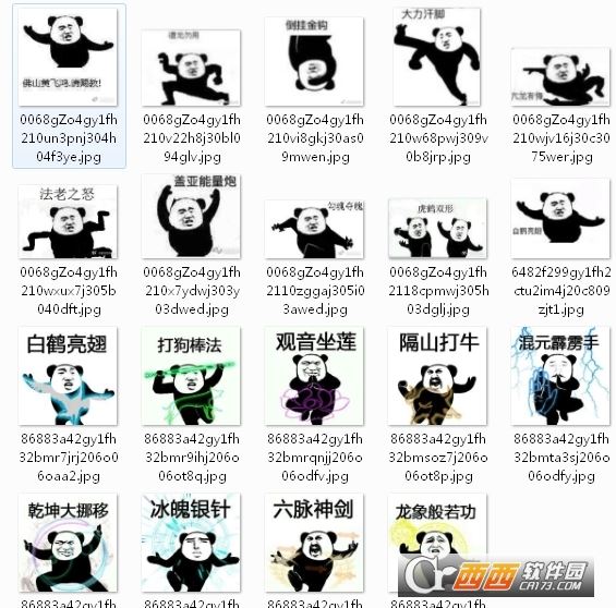 朋友过两招熊猫图片