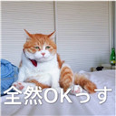 丧猫日语表情包无水印【完整版】