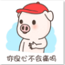 小萌猪3微信表情