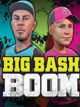 大击球(Big Bash Boom)免安装绿色版