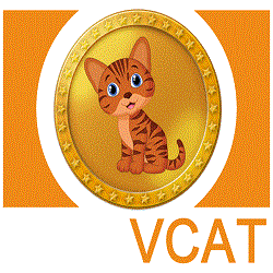 虚拟猫VCAT钱包V1.0.0 绿色版