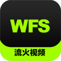 流火WFS监控录像恢复软件