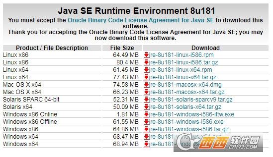 Java SE Runtime(jre8 64位版)