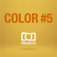 Franzis Color Projects滤镜v5.52.02653 免费版